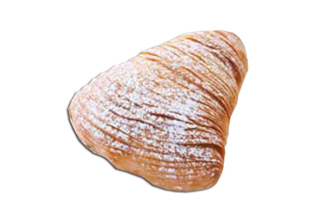 Dolce Milano Frozen Sfogliatella Napoletana Riccia Grande (75x110g) | Wholesale | Delicatezza