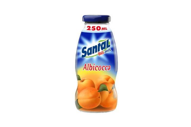 Santal Apricot Glass Bottles (24x250ml) | Wholesale | Delicatezza 